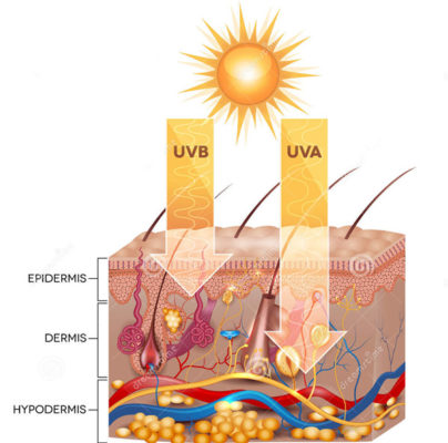 uva uvb uvc absorption radiation light difference frequency wavelengths